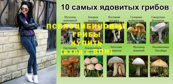 амф Нея