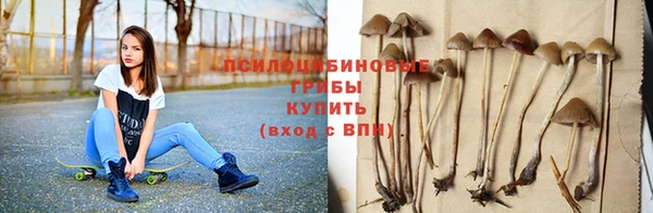 мяу мяу мука Аркадак